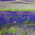 Lavandes en juillet - Pastel