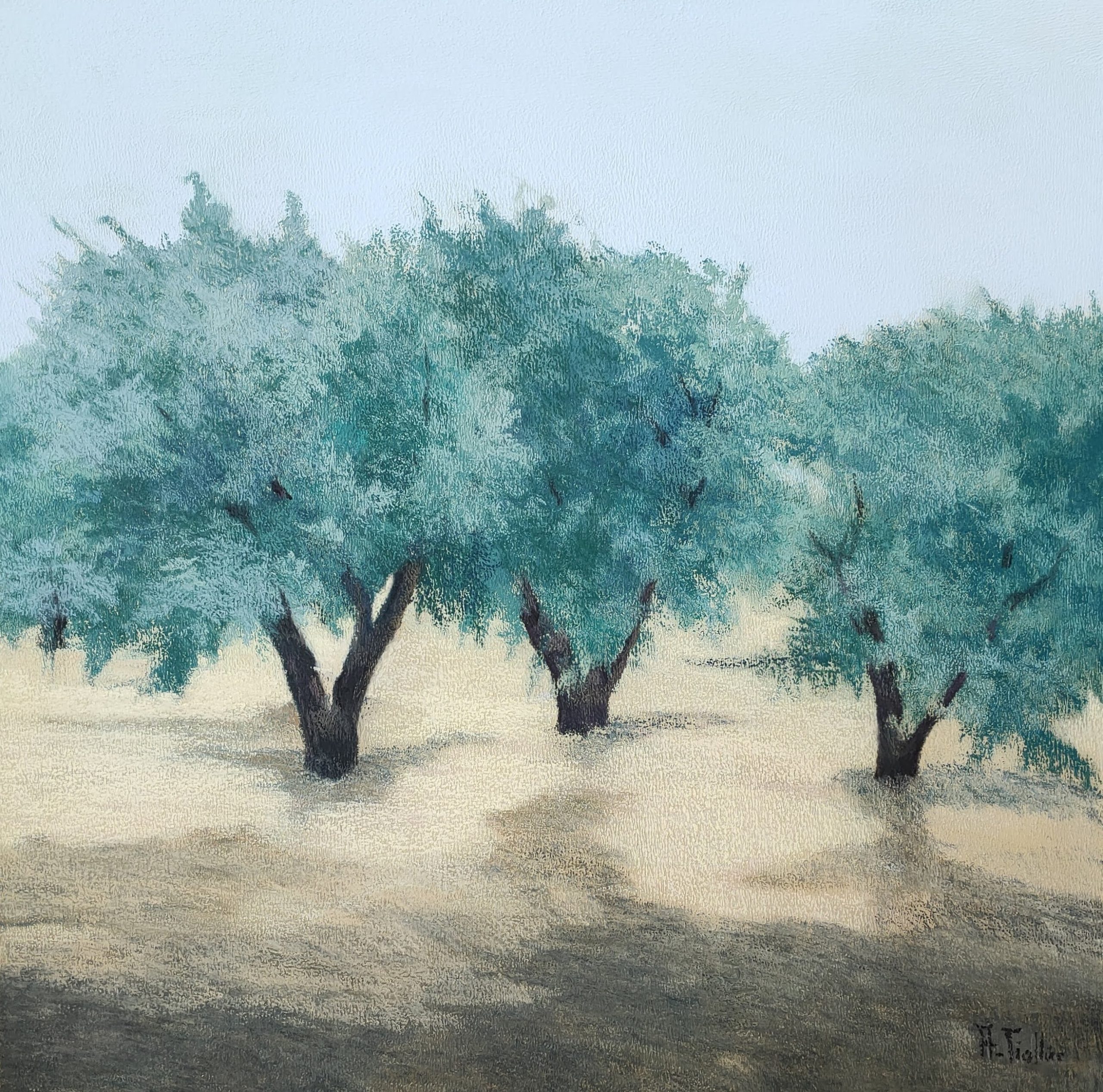 Les oliviers II, Pastel(*)-70x70cm