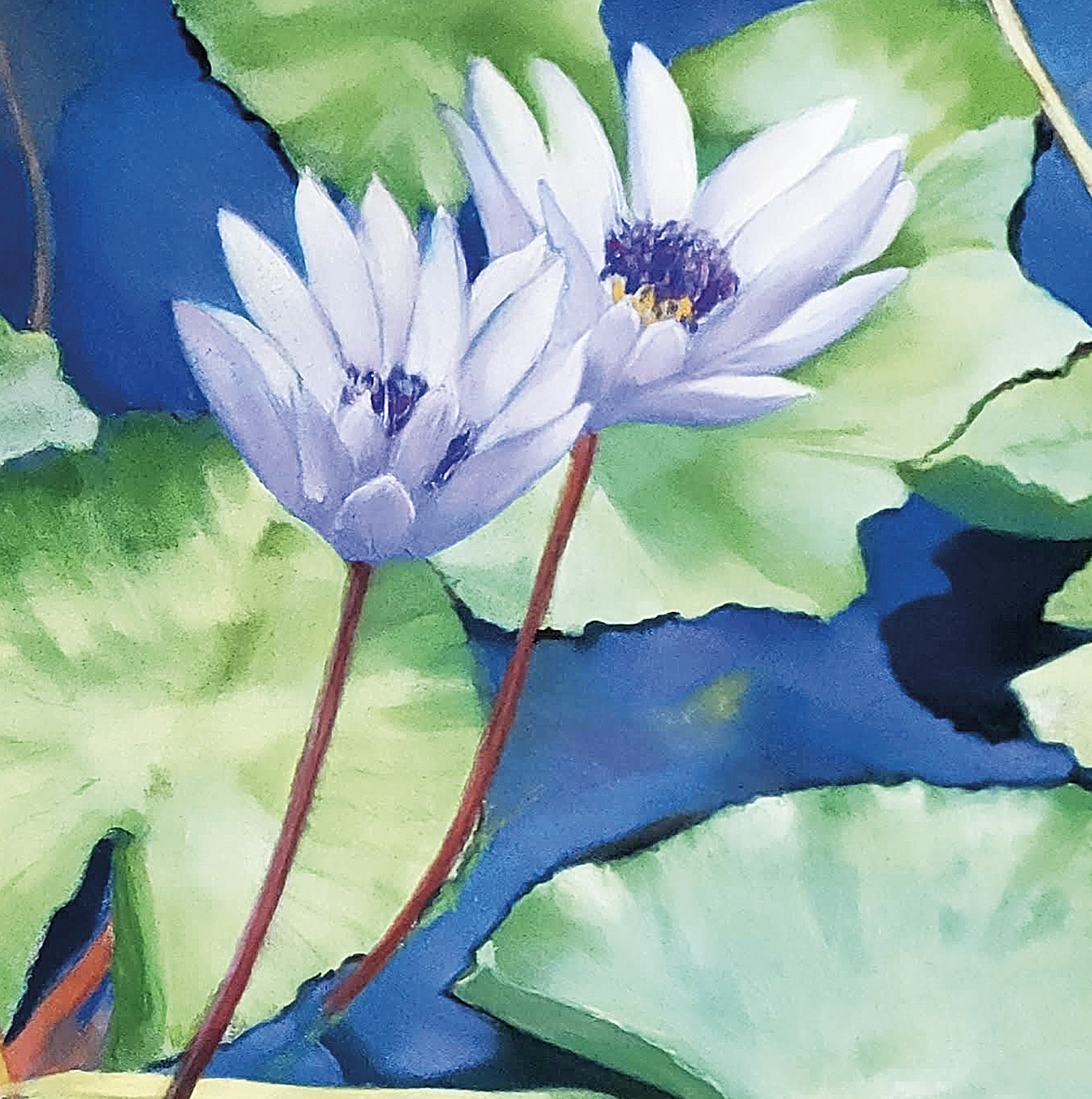 détail, pastel : à fleur d'eau (7 0x70cm )